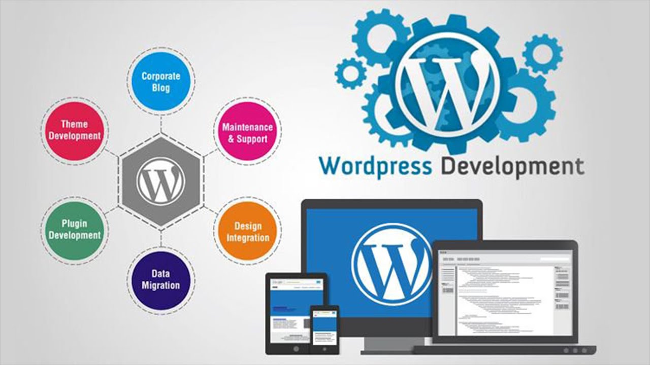 WordPress Theme Development Services